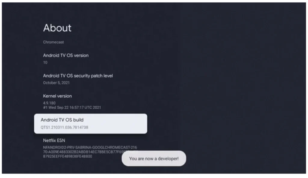 Message box: You are now a developer!