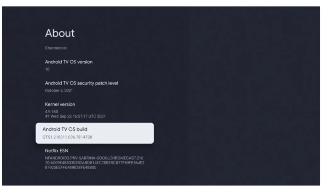 About Menu: Android TV OS Build highlighted Developer mode ChitramTV